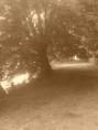 /album/rejoins-moi/photo119-jpg1/